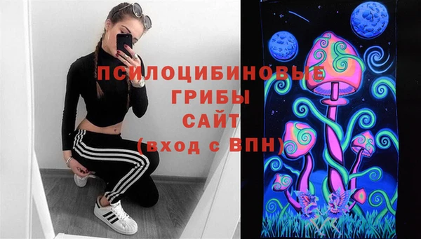герыч Дмитровск