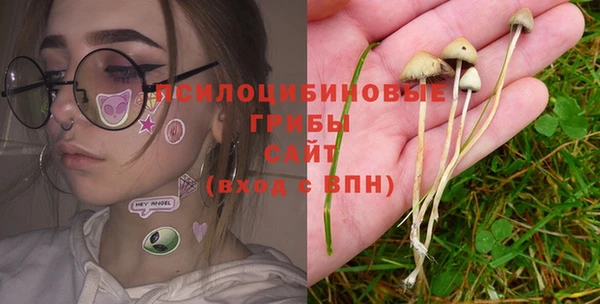 герыч Дмитровск